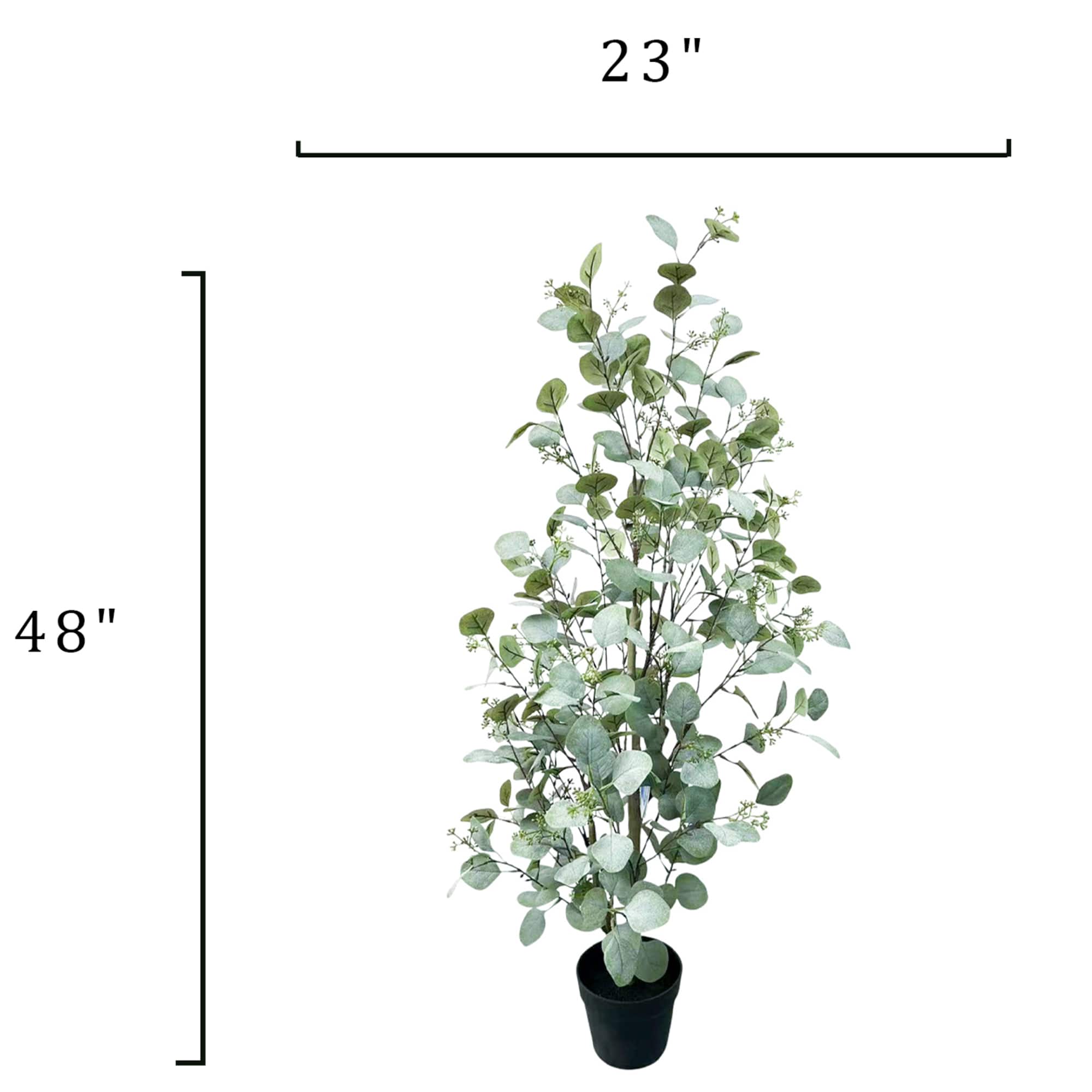 4ft. Potted Seeded Eucalyptus Tree by Ashland®